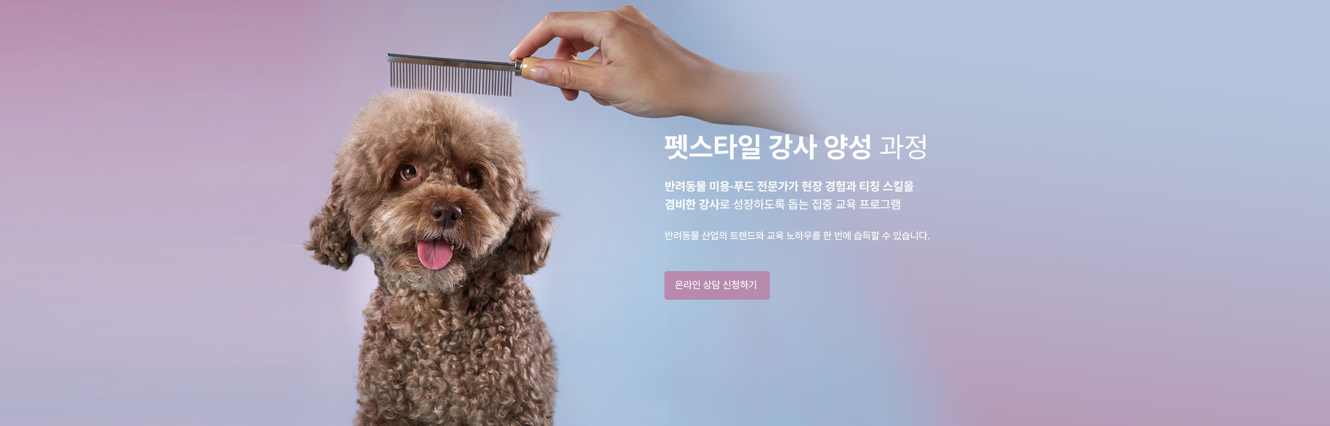 메인이미지