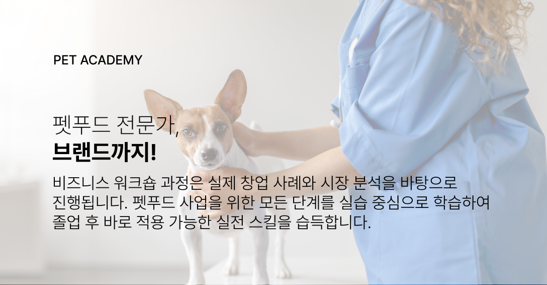 전문가mo